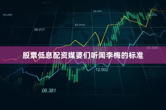 股票低息配资媒婆们听闻李梅的标准