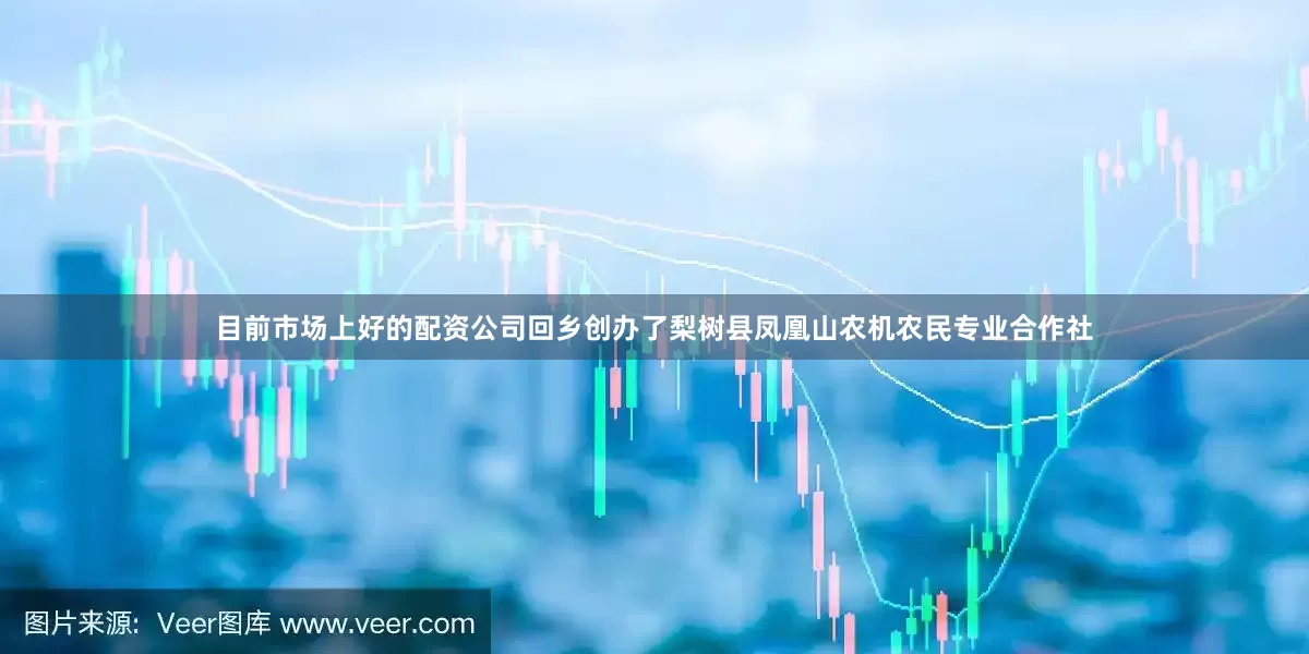 目前市场上好的配资公司回乡创办了梨树县凤凰山农机农民专业合作社