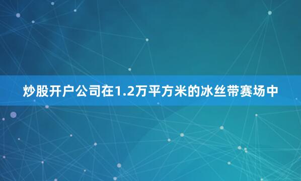 炒股开户公司在1.2万平方米的冰丝带赛场中